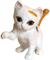 icon_cat01