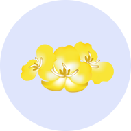 lp_component_img_09