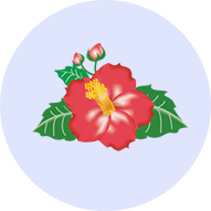 lp_component_img_19
