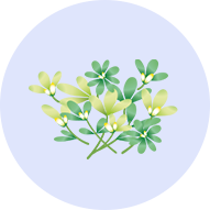 lp_component_img_20