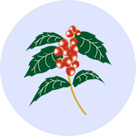 lp_component_img_21