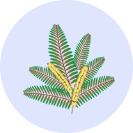 lp_component_img_22