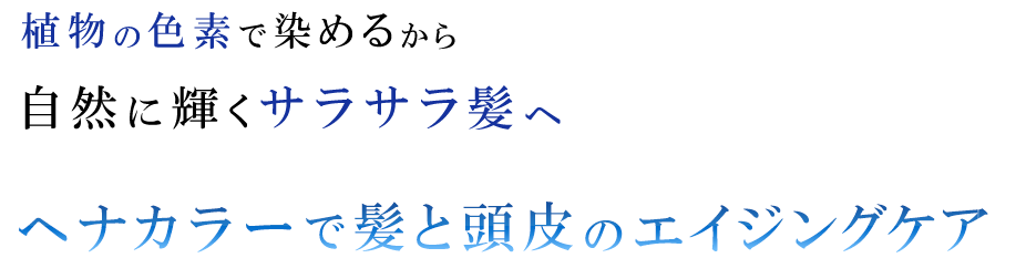 main_lp