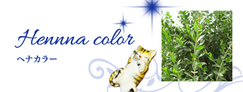 top_service_banner_henna